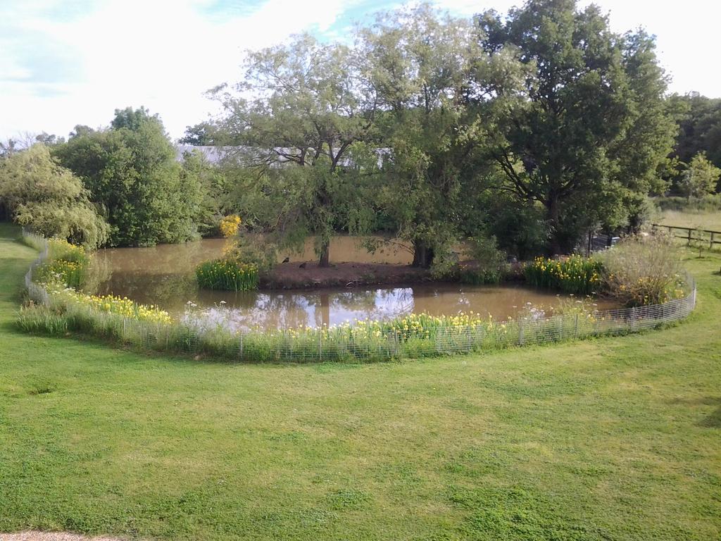 Grand Mainguet Bed & Breakfast Saint-Lambert-la-Potherie Luaran gambar